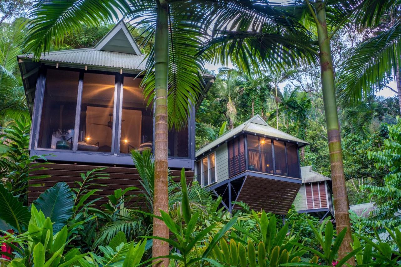 Daintree Ecolodge Екстериор снимка
