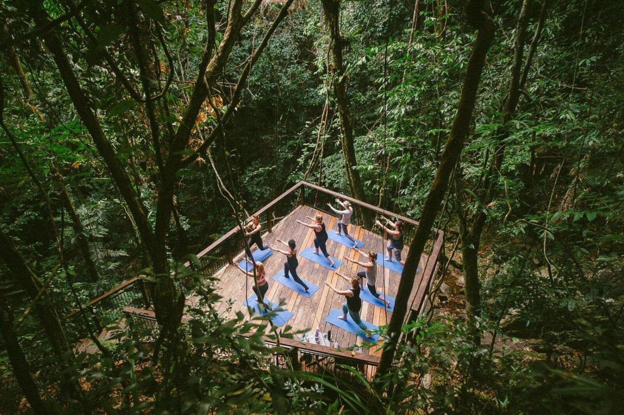 Daintree Ecolodge Екстериор снимка