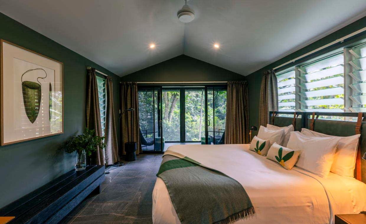 Daintree Ecolodge Екстериор снимка