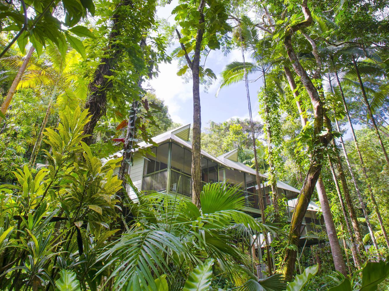 Daintree Ecolodge Екстериор снимка