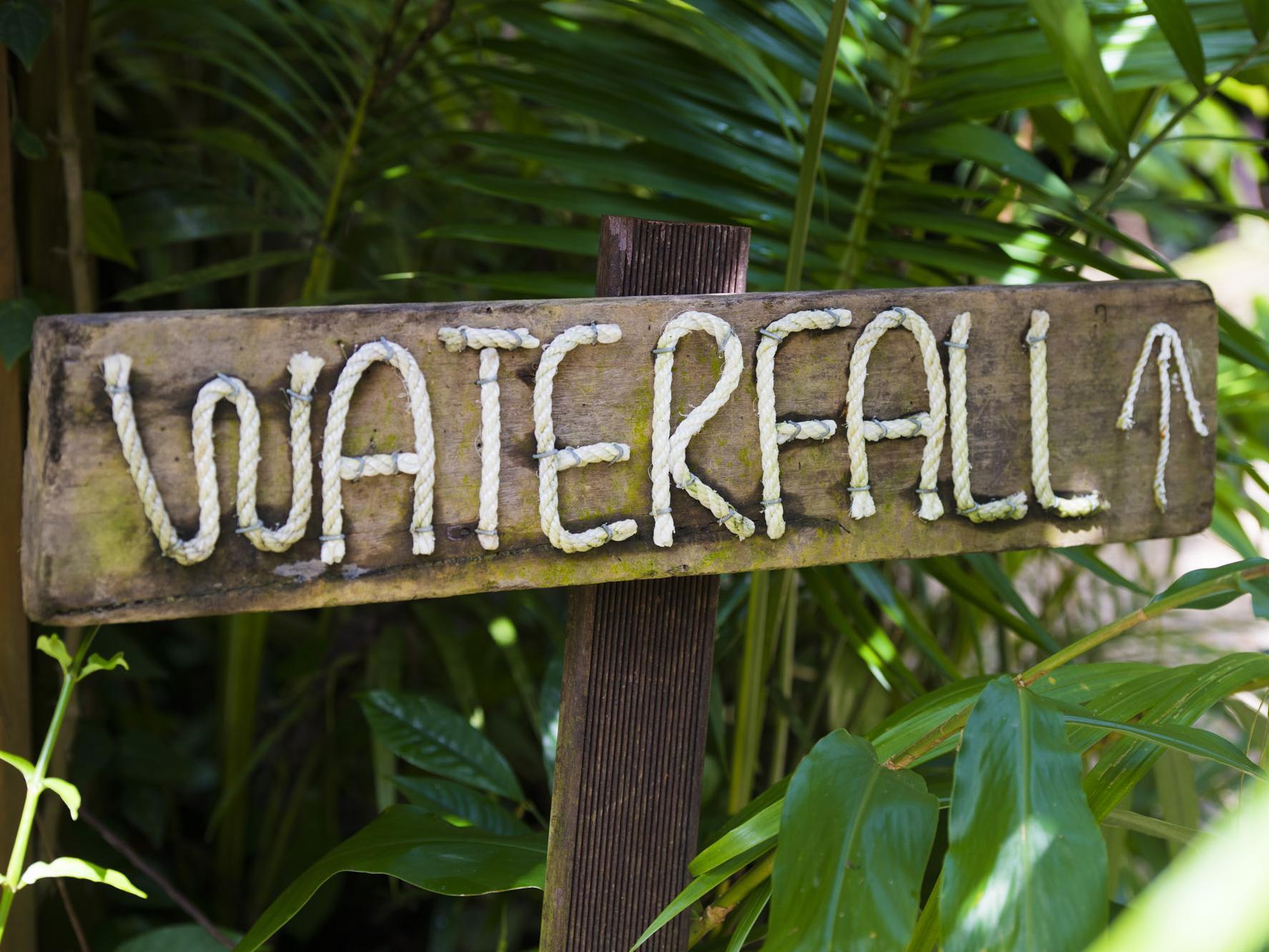 Daintree Ecolodge Екстериор снимка