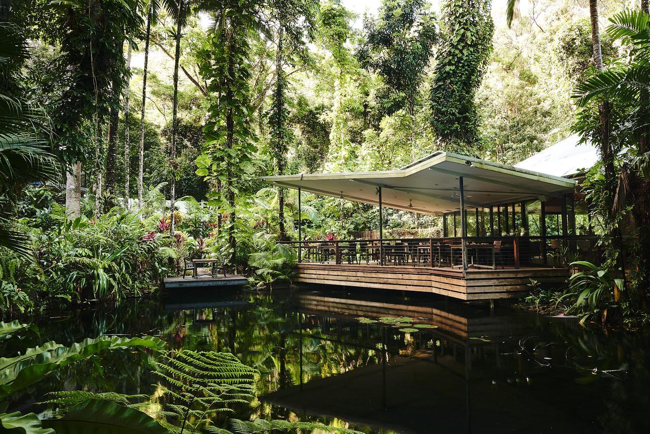 Daintree Ecolodge Екстериор снимка