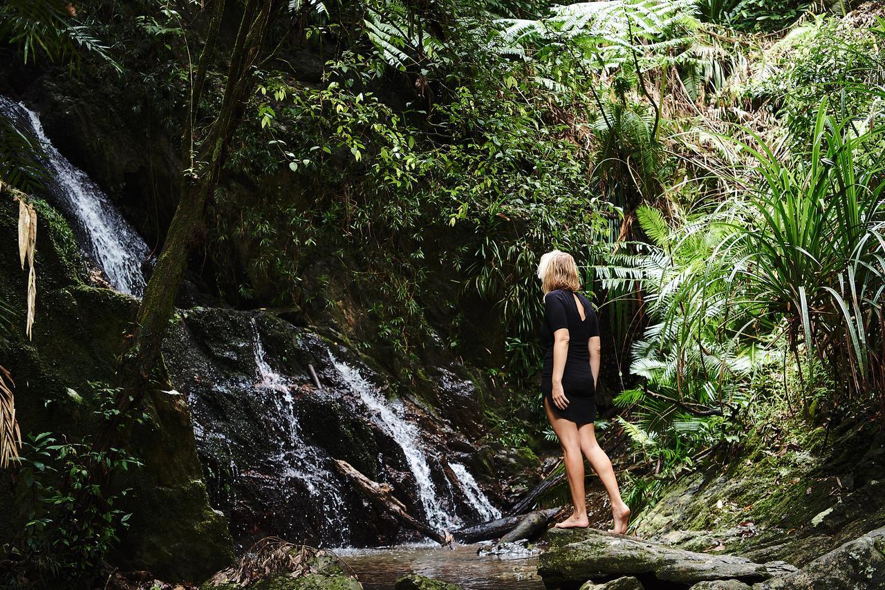 Daintree Ecolodge Екстериор снимка