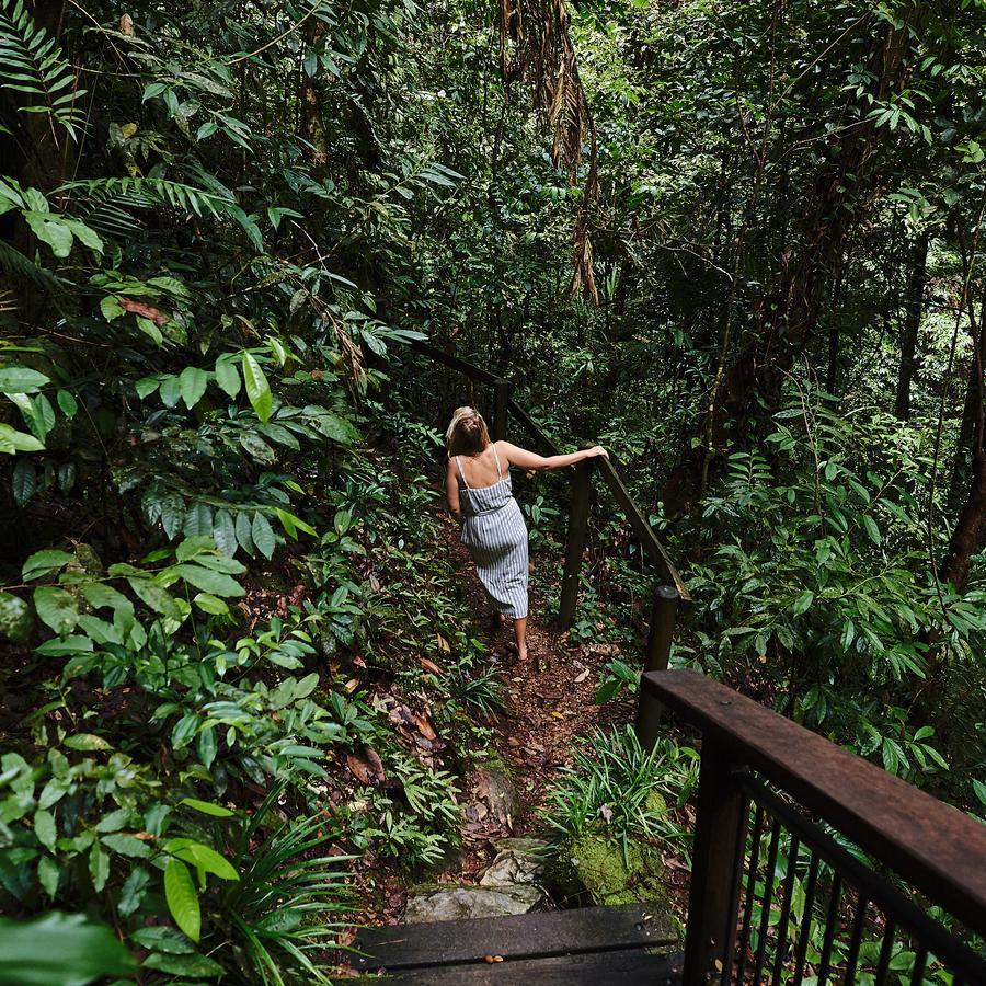 Daintree Ecolodge Екстериор снимка