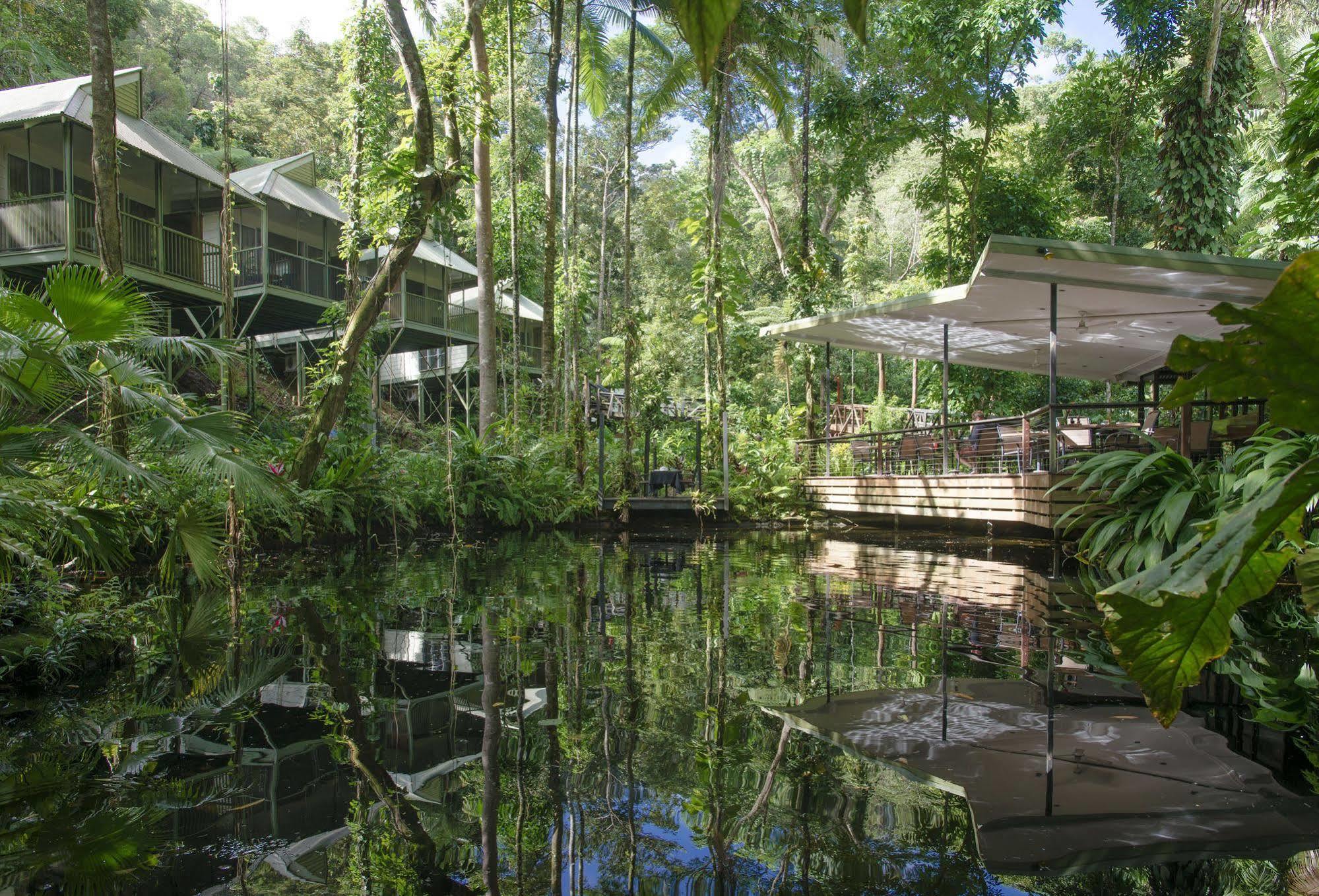 Daintree Ecolodge Екстериор снимка