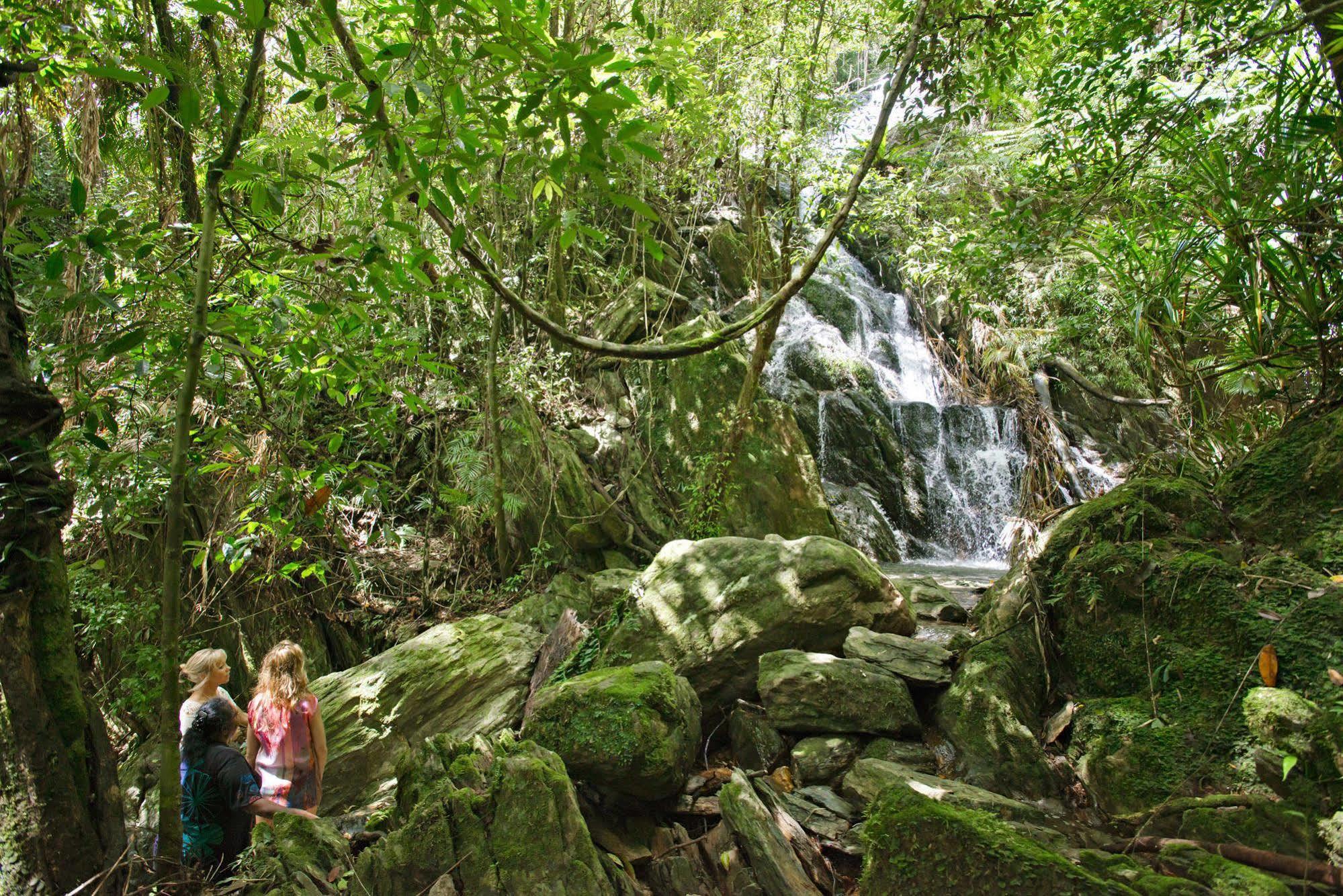 Daintree Ecolodge Екстериор снимка