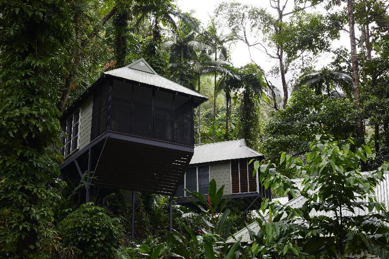 Daintree Ecolodge Екстериор снимка