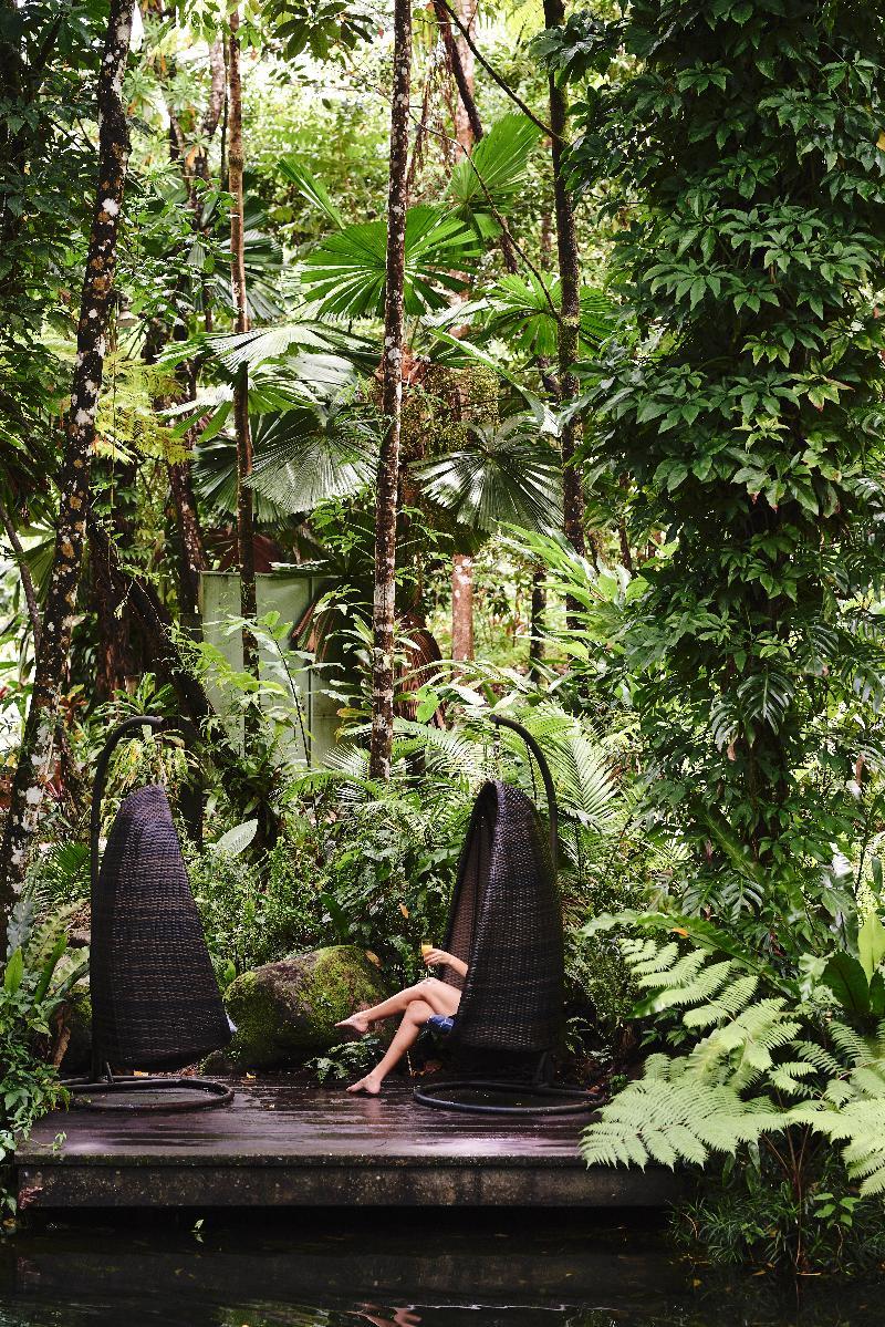 Daintree Ecolodge Екстериор снимка