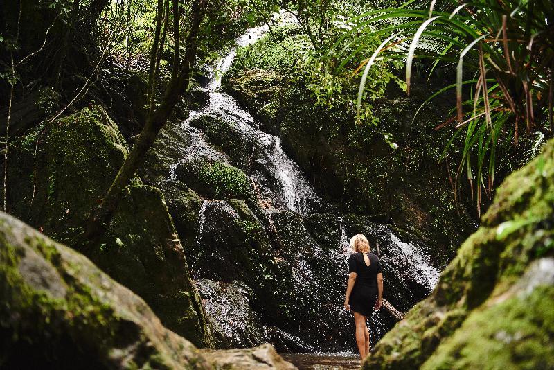 Daintree Ecolodge Екстериор снимка