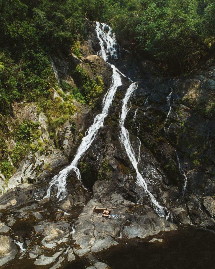 Daintree Ecolodge Екстериор снимка
