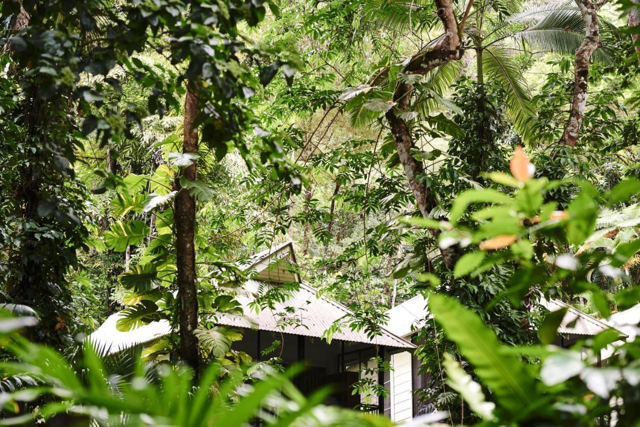 Daintree Ecolodge Екстериор снимка