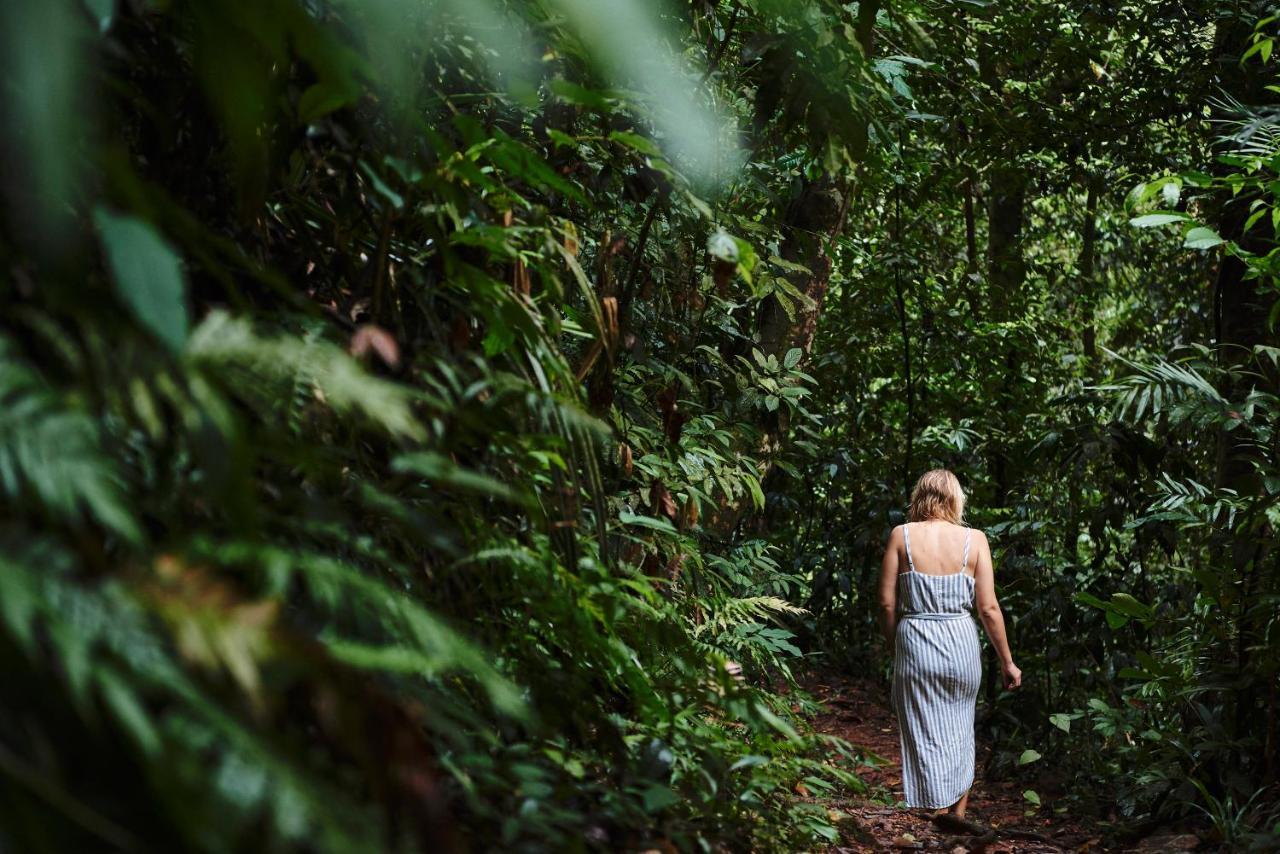 Daintree Ecolodge Екстериор снимка